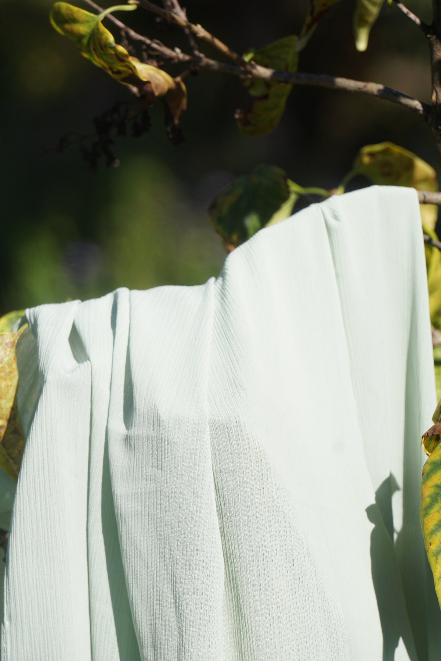 CHIFFON-sage green